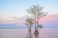 Charleston_Color_20240403_006-47_edit_VERO